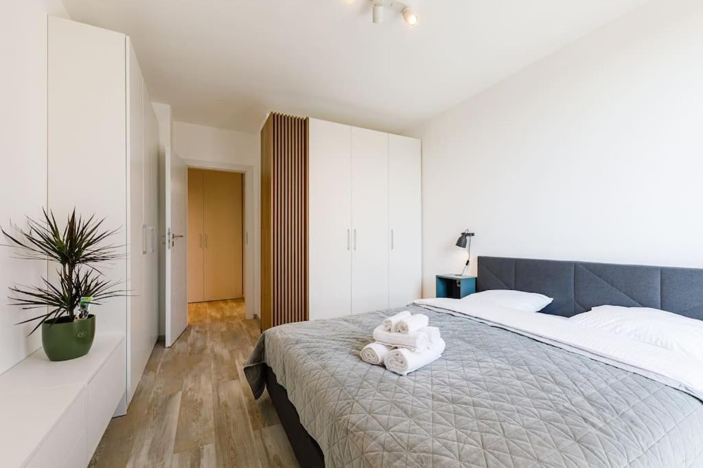 Luxury Apt. Near River & Parking تيميشورا المظهر الخارجي الصورة