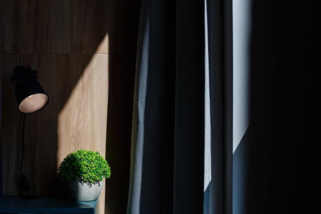 Luxury Apt. Near River & Parking تيميشورا المظهر الخارجي الصورة